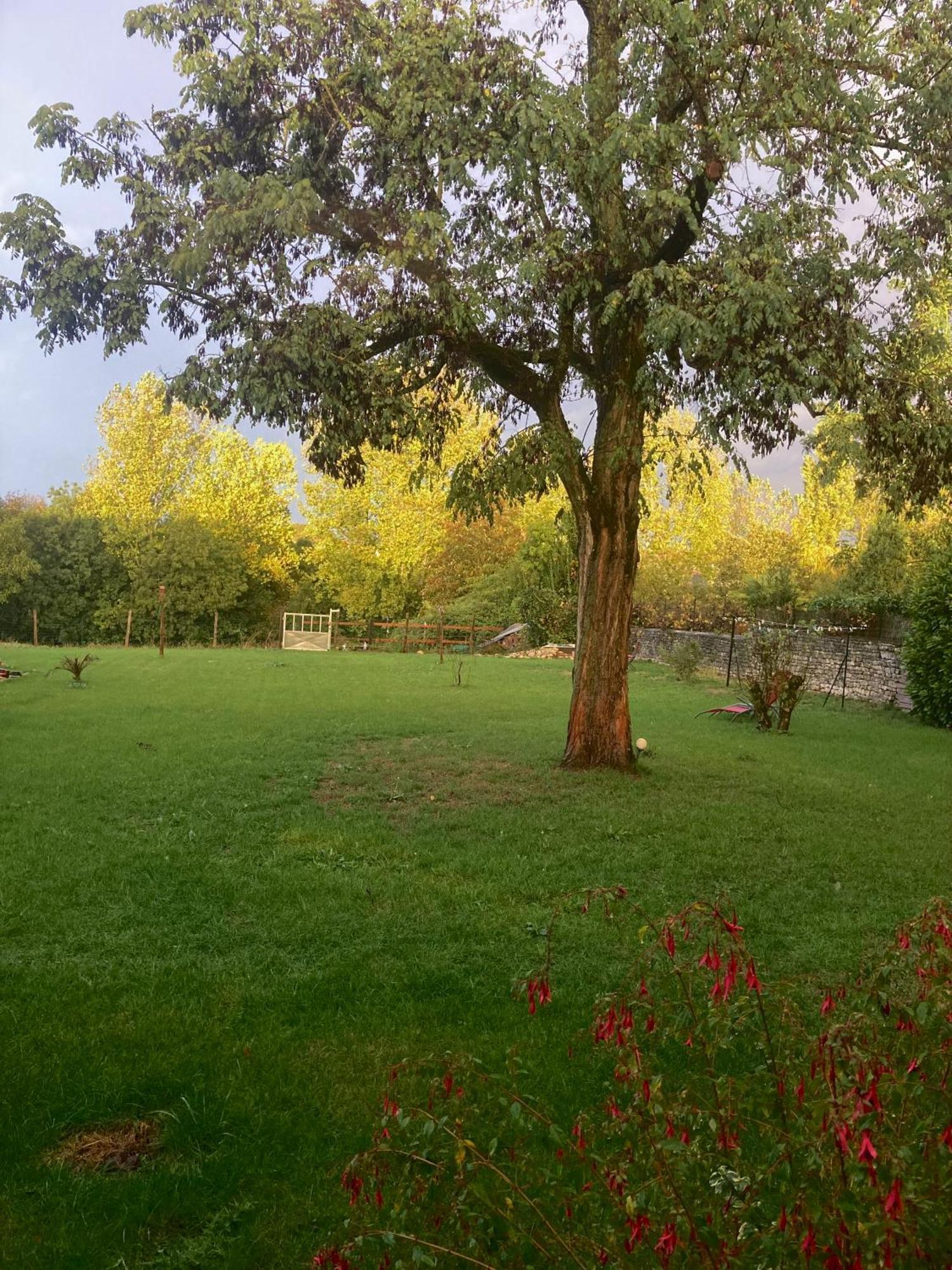 The Blue Lotus Gite And Spa Le Langon Esterno foto